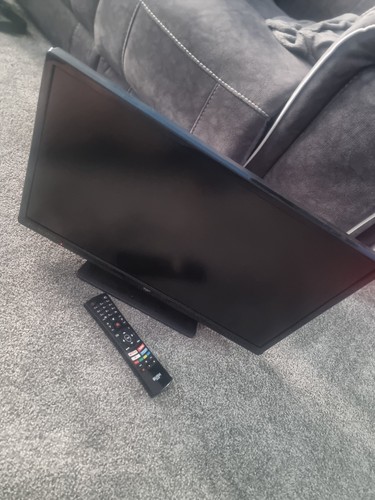 Bush 24in led 1080p - 24in,